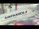 Crash du Rio-Paris : vers un procès pour Air France et Airbus ?