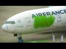 Un avion d'Air France repeint en vert par des militants de Greenpeace