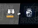 LOUVAIN - BRUSSELS (EMBL HIGHLIGHTS)