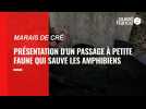 Passage petite faune