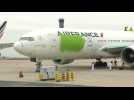 Roissy: des militants de Greenpeace repeignent un avion en vert