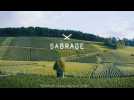 Sabrage by Maxime Mansard