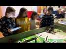 Les écoliers programment un robot 2