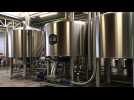 La Maison DB crée des bières de luxe à Roubaix