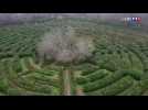 Le plus grand labyrinthe d'Europe a rouvert dans la Creuse