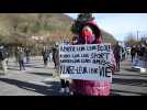 Manifestation 