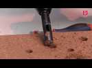 Comprendre en images la différence entre le rover martien Curiosity et Persevrance