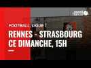 VIDEO. Ligue 1 : Stade Rennais - RC Strasbourg : L'avant-match