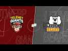 ANVERS - LOUVAIN (EMBL Highlights)