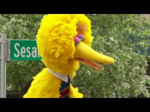 VIDEO : Sesame Street Becomes Real Intersection In NYC