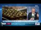 La chronique d'Anthony Morel : La technologie au service des chocolatiers - 22/04
