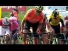 Tour des Flandres 2019 - Greg Van Avermaet, 10e du Ronde : 