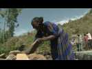 Éthiopie : la permaculture, clé de la prospérité en milieu rural