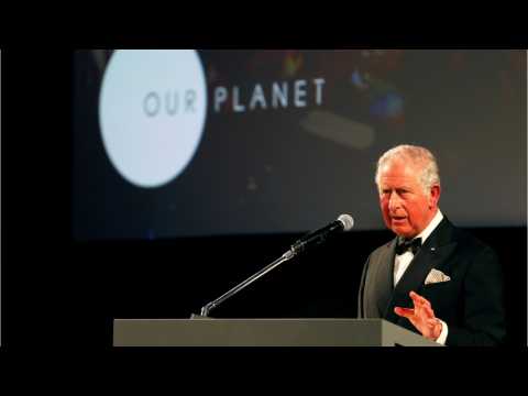 VIDEO : UK Royals Attend A Netflix Premiere