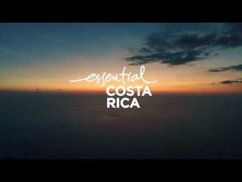 VIDEO : TASTE OF COSTA RICA x TRACE - TEASER