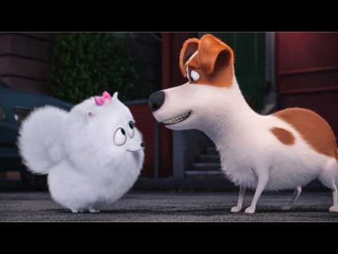 VIDEO : When Is The Trailer For 'Secret Life of Pets 2' Releasing?