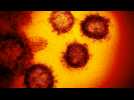 Covid-19 : 1 126 cas de contamination au coronavirus, PSG-Dortmund à huis clos, le point du 9 mars