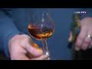 Trésors de Charente (1/4) : à la découverte des secrets de fabrication du cognac
