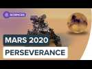 Perseverance, à la recherche de la vie sur Mars | Futura