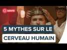 5 mythes sur le cerveau humain | Futura