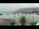 Sur la trace des Belges du califat