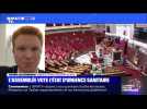 L'Assemblée vote l'état d'urgence sanitaire (2) - 19/03