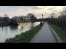 Arras: quelques coureurs, marcheurs et cyclistes le long de la Scarpe