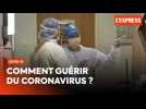 Comment guérir du Covid-19 ?