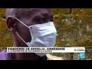 Coronavirus : Un centre de dépistage détruit à Abidjan, opération sanitaire à Douala