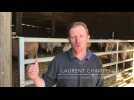 Interview de Laurent Champenois