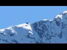 Un ours sur les sommets des Hautes-Pyrénées