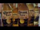 La production de la bière Corona suspendue par le gouvernement mexicain