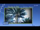 Les beaux jours - le palmier (suite)