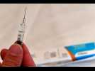 Coronavirus : un vaccin prometteur testé avec succès sur des singes