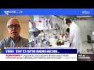 Virus: tout ce qu'on ignore encore - 10/04