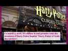 Emma Watson : l'héroïne d'Harry Potter est-elle en couple ?