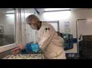 Boulonnais : la société Api restauration prépare désormais 1200 repas par jour pour les seniors
