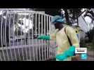 Epidémie d'Ebola en RD Congo : le virus ressurgit dans l'Est du pays, 2 décès