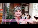 Confinement : Brigitte Bardot ravie de la situation, elle se confie