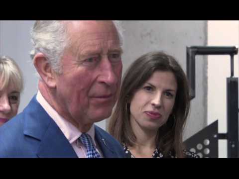 VIDEO : Le prince Charles sort de l'auto-isolement aprs s'tre remis du COVID-19