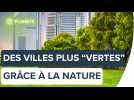 Réduire l'impact environnemental des villes grâce à la nature | Futura