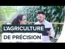 Tirer profit des nouvelles technologies pour l'agriculture | Futura