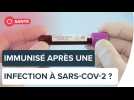 Sommes-nous protégés après une infection à SARS-CoV-2 ? | Futura