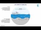 Engins Peche_PASSIFS