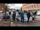 Manifestation pour le climat dans le centre-ville de Douai