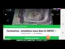 Confinement : comment aider ?