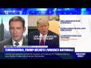 Coronavirus: Donald Trump décrète l'urgence nationale - 13/03