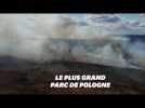 En Pologne, un incendie dévastateur fait resurgir l'urgence environnementale