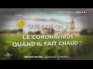 Que sait-on sur le coronavirus et la météo ?