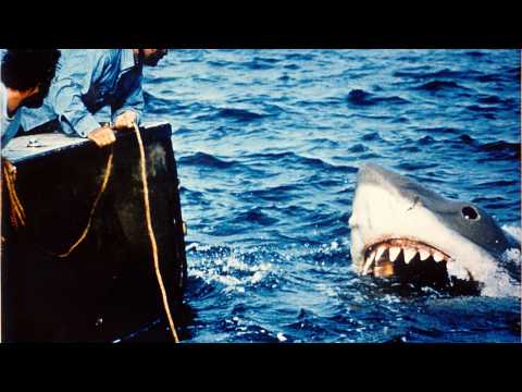 VIDEO : The Original Jaws Is Coming Back